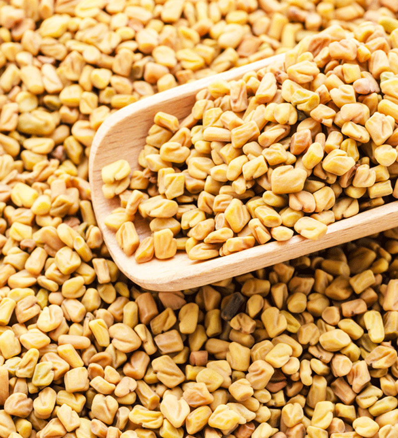exporter of sesame and pigeon pea in russia