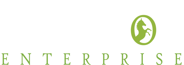Stallion Enterprise