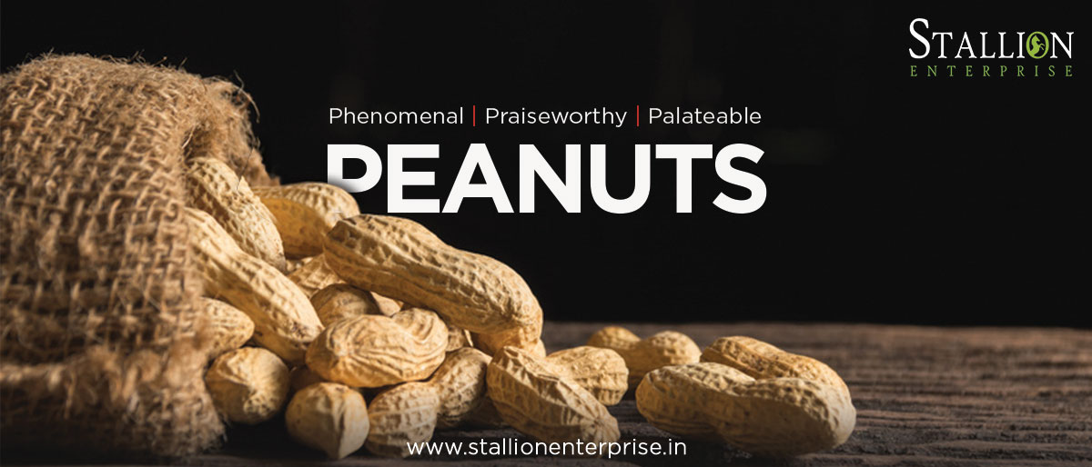 Peanut Exporter Russia, Peanut Exporter Ukraine