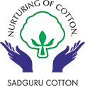 manufacturer and exporter peanut for sadguru cotton in ukraine
