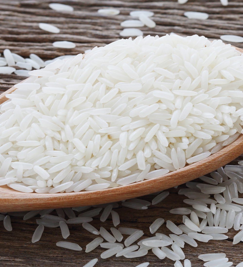 exporter of indian rice in russia and ukraine