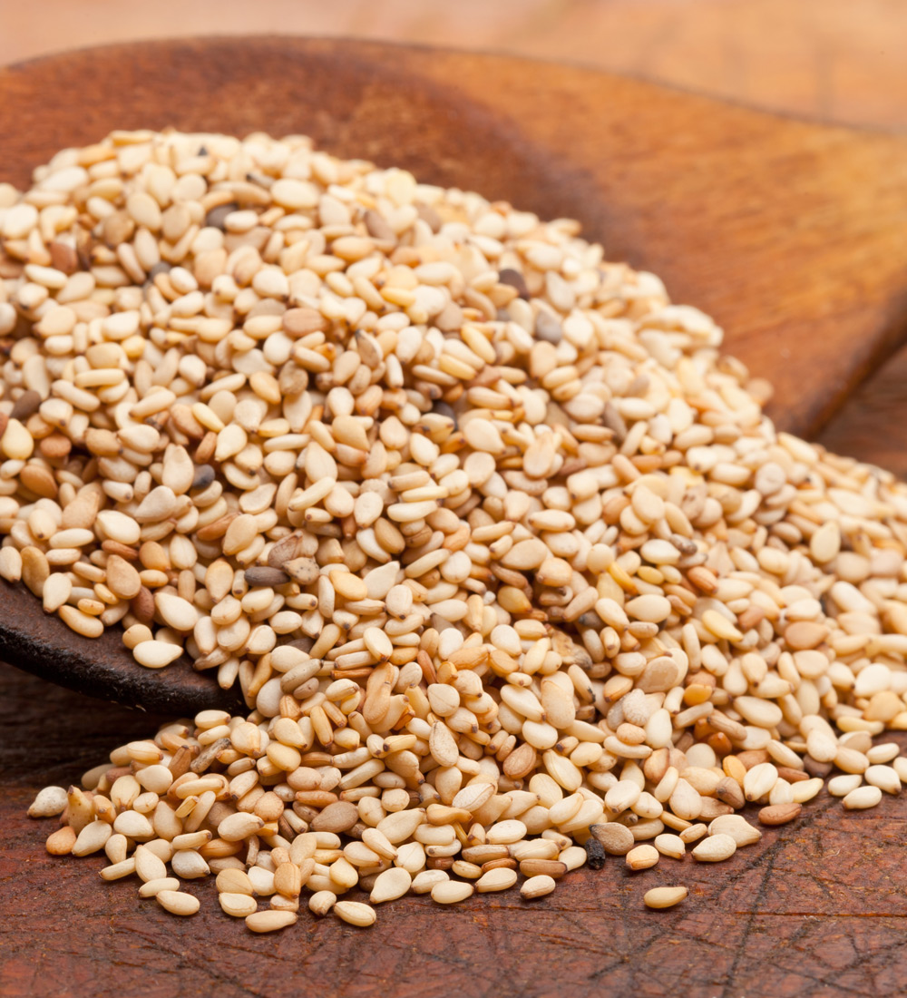 exporter of sesame seed in russia and ukraine